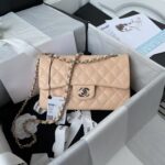Chanel Small Classic Handbag Caviar Silver Hardware