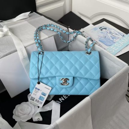 Chanel Small Classic Handbag Silver Hardware