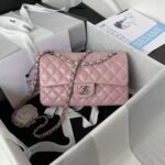 Chanel Small Classic Handbag Silver Hardware