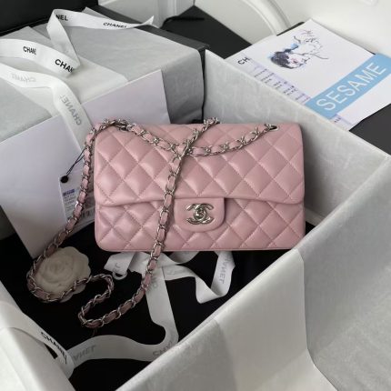 Chanel Small Classic Handbag Silver Hardware