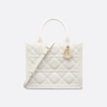 Dior Small Dior Book Tote HandBags