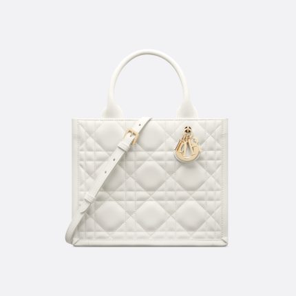 Dior Small Dior Book Tote HandBags