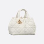 Dior Medium Dior Toujours Bag HandBags