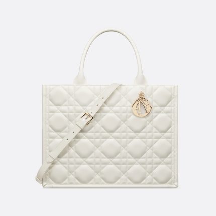Dior Medium Dior Book Tote HandBags