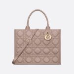Dior Medium Dior Book Tote HandBags