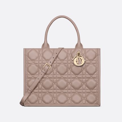 Dior Medium Dior Book Tote HandBags