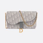 Dior Saddle Pouch with Chain