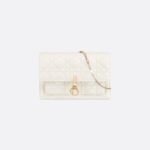 Dior My Dior Daily Chain Pouch