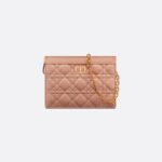 Dior Caro Every Dior Pouch