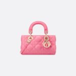Dior Lady D-Joy Micro Bag