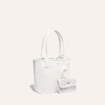 Goyard Anjou Mini Bag White