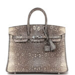 Hermes Birkin 25 Ombre Varanus Salvator Lizard Palladium Hardware