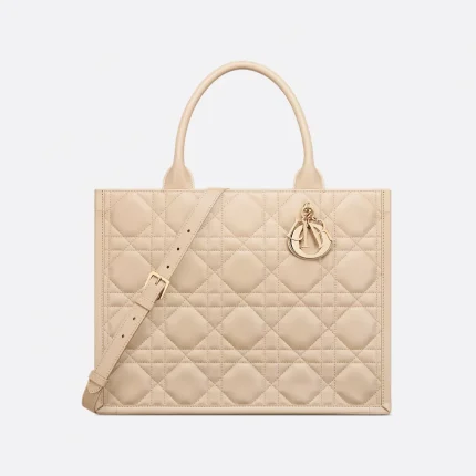Dior Medium Dior Book Tote HandBags