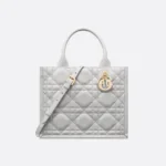 Dior Small Dior Book Tote HandBags