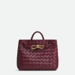 Bottega Veneta Small Andiamo