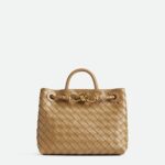 Bottega Veneta Small Andiamo