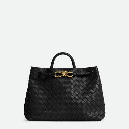 Bottega Veneta Medium Andiamo