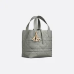 Dior Small Dior Toujours Vertical Tote Bag