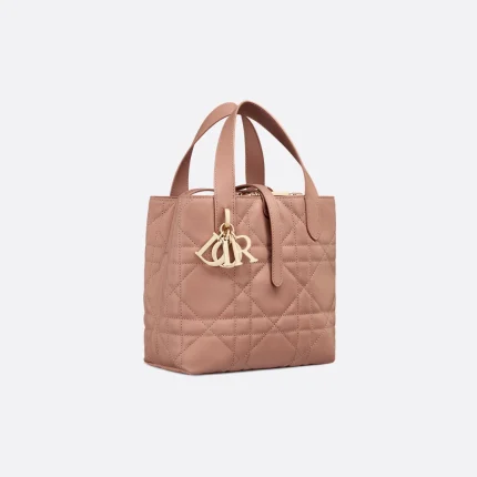 Dior Small Dior Toujours Vertical Tote Bag