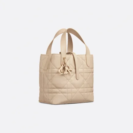 Dior Small Dior Toujours Vertical Tote Bag
