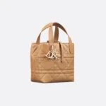 Dior Small Dior Toujours Vertical Tote Bag