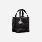 Dior Small Dior Toujours Vertical Tote Bag