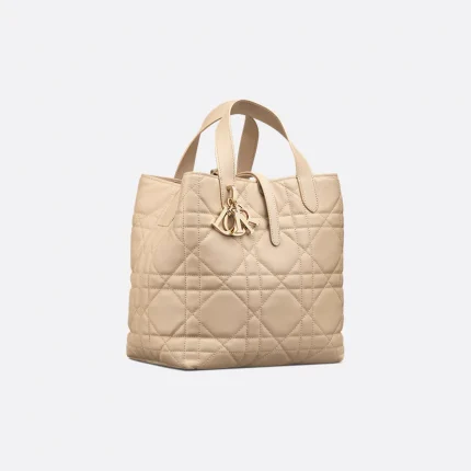 Dior Medium Dior Toujours Vertical Tote Bag