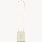 YSL Tuxedo Box Bag In Plexiglass And Metal